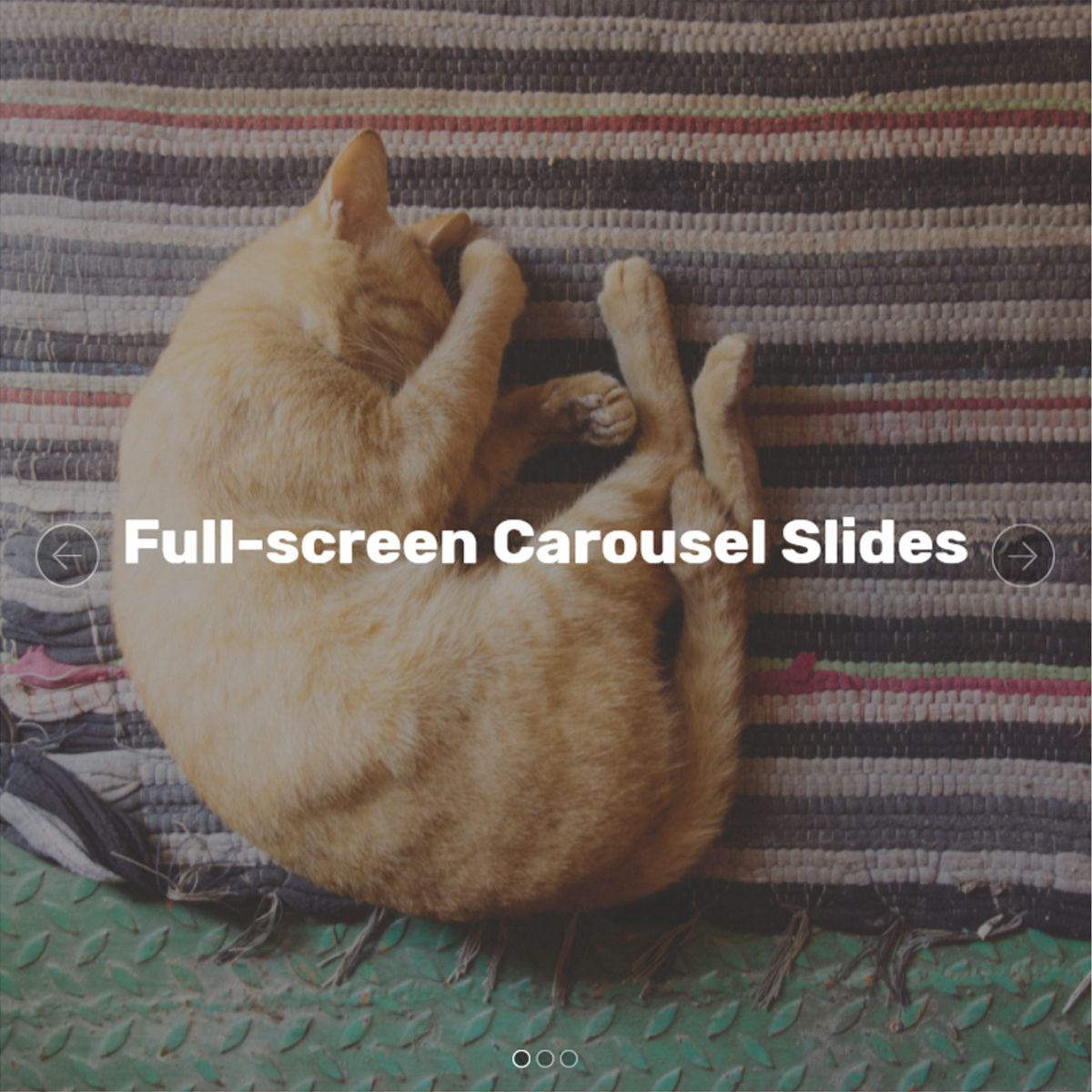 CSS3 Bootstrap Photo Carousel