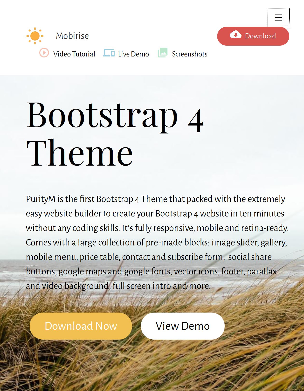 Bootstrap Theme Template