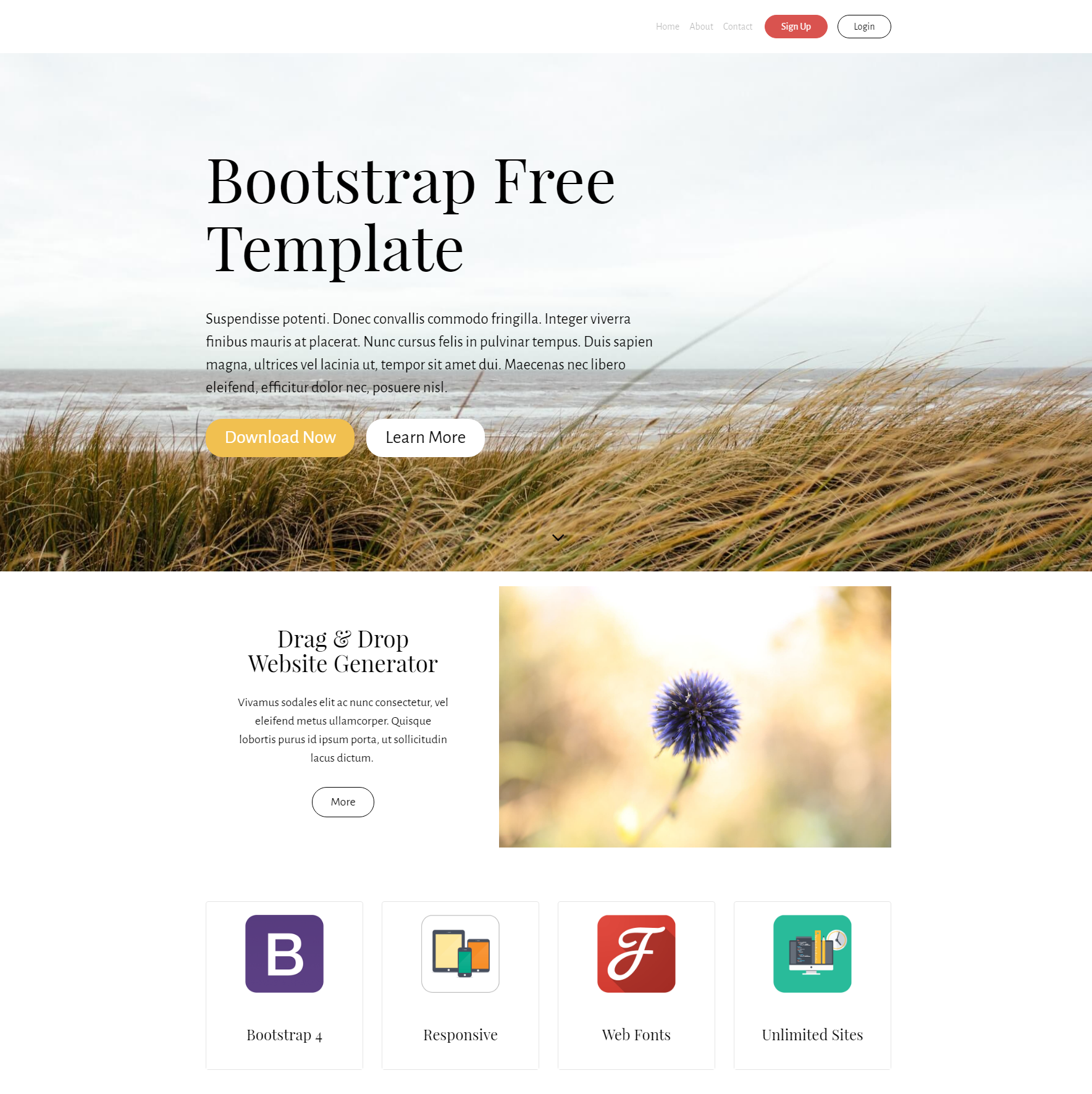 CSS3 Bootstrap Free Templates