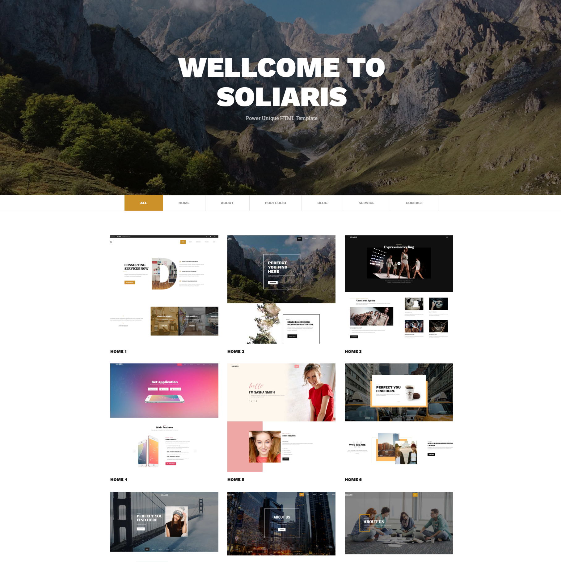 CSS3 Bootstrap Soliaris Themes