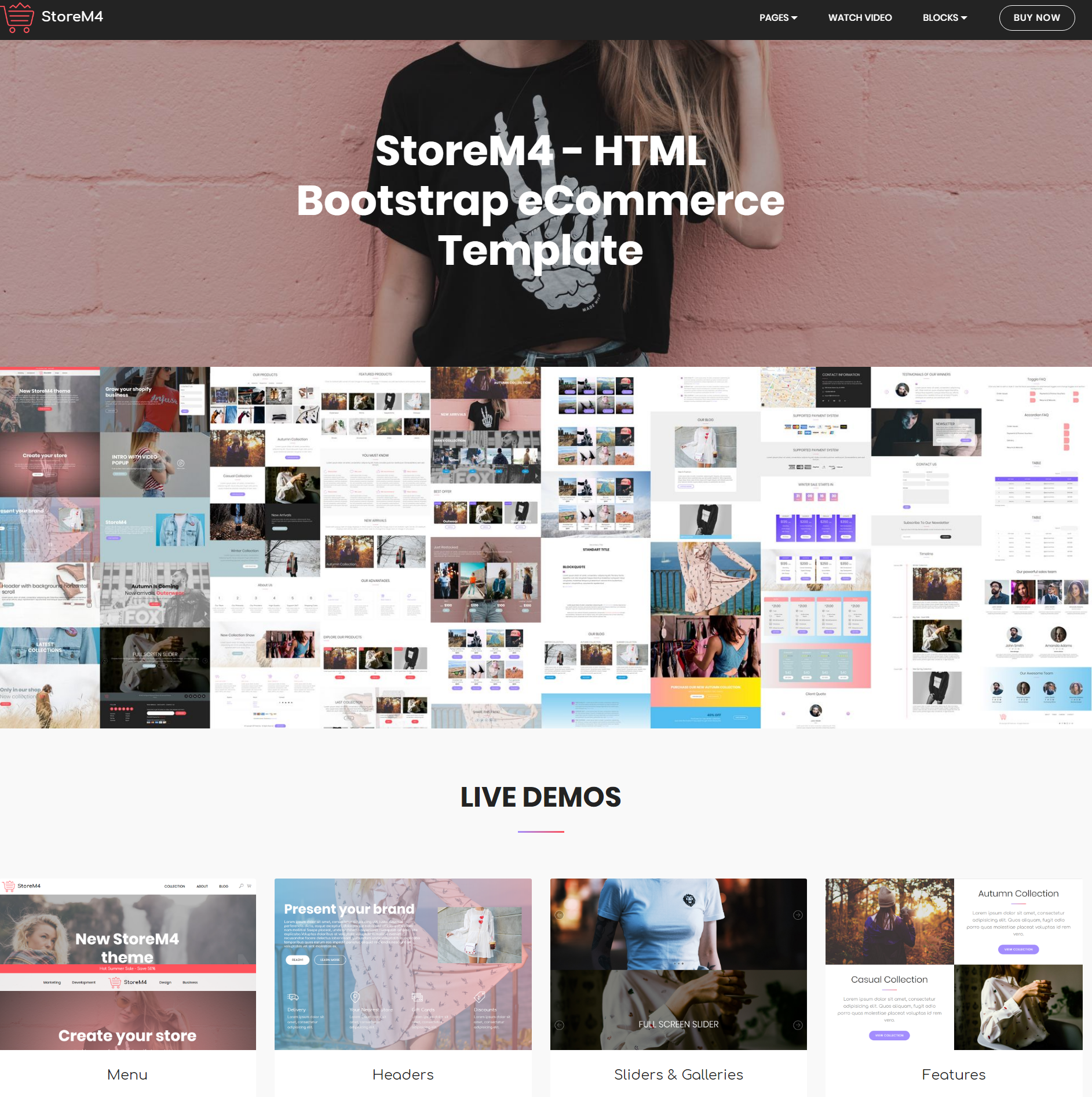 HTML5 Bootstrap Storem4 Themes