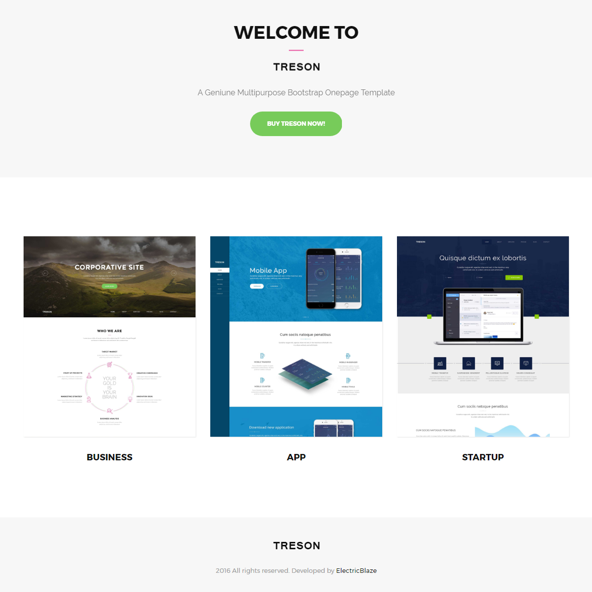 Responsive Bootstrap Treson Themes