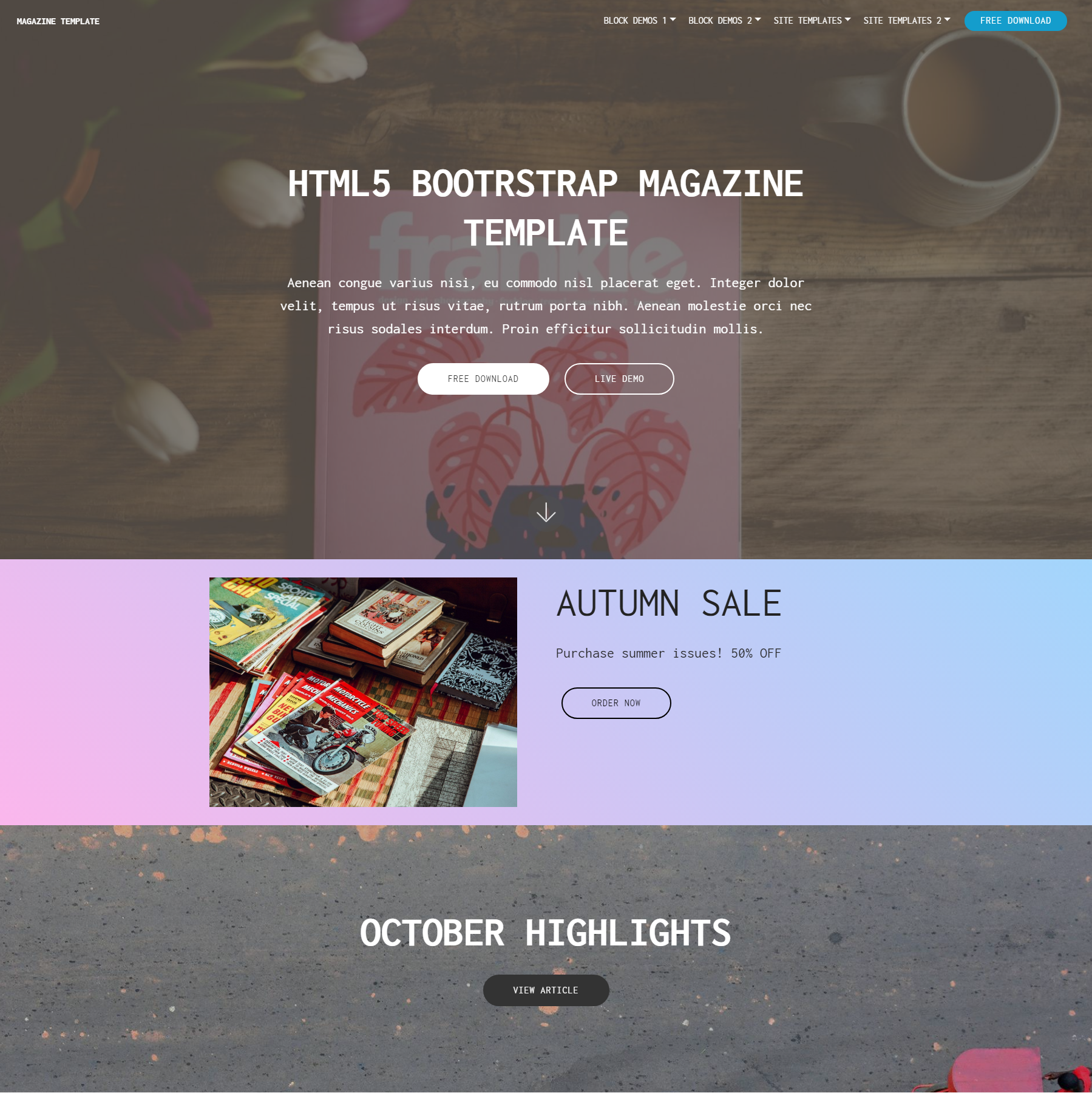 HTML Bootstrap Magazine Themes